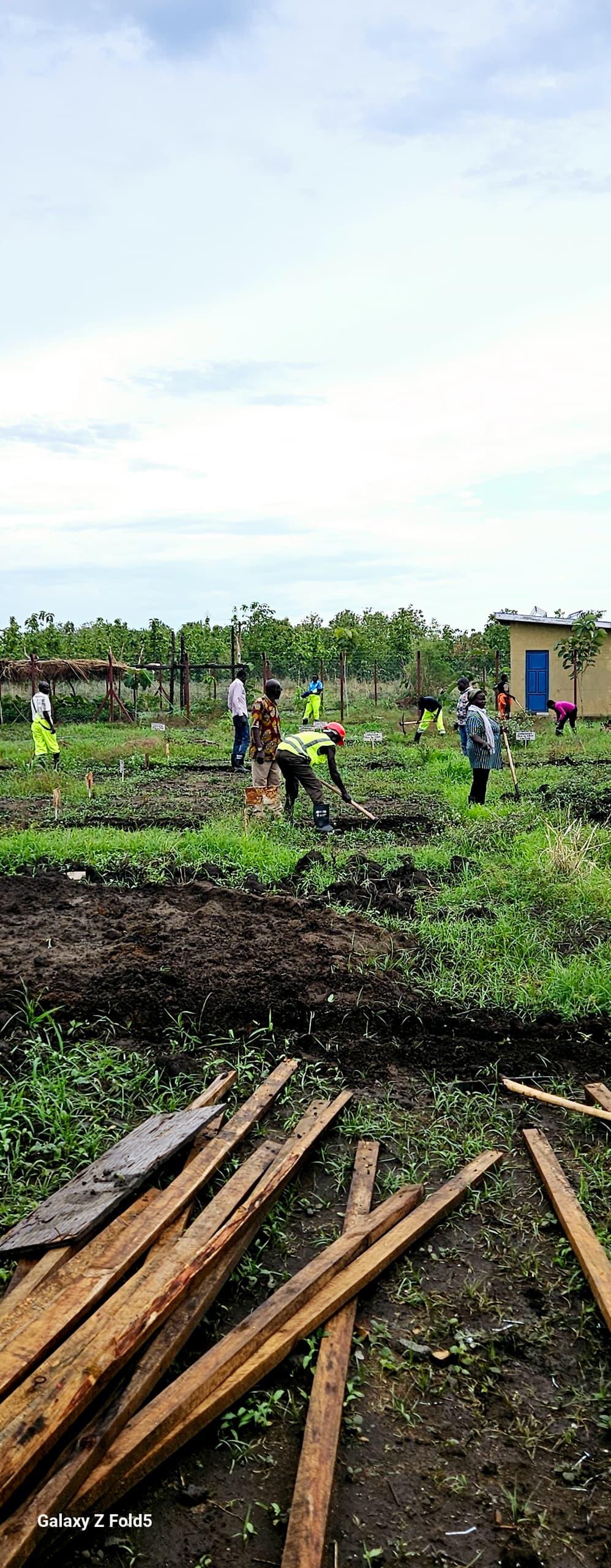 Agriculture programme in the field