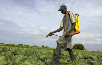 Pesticide